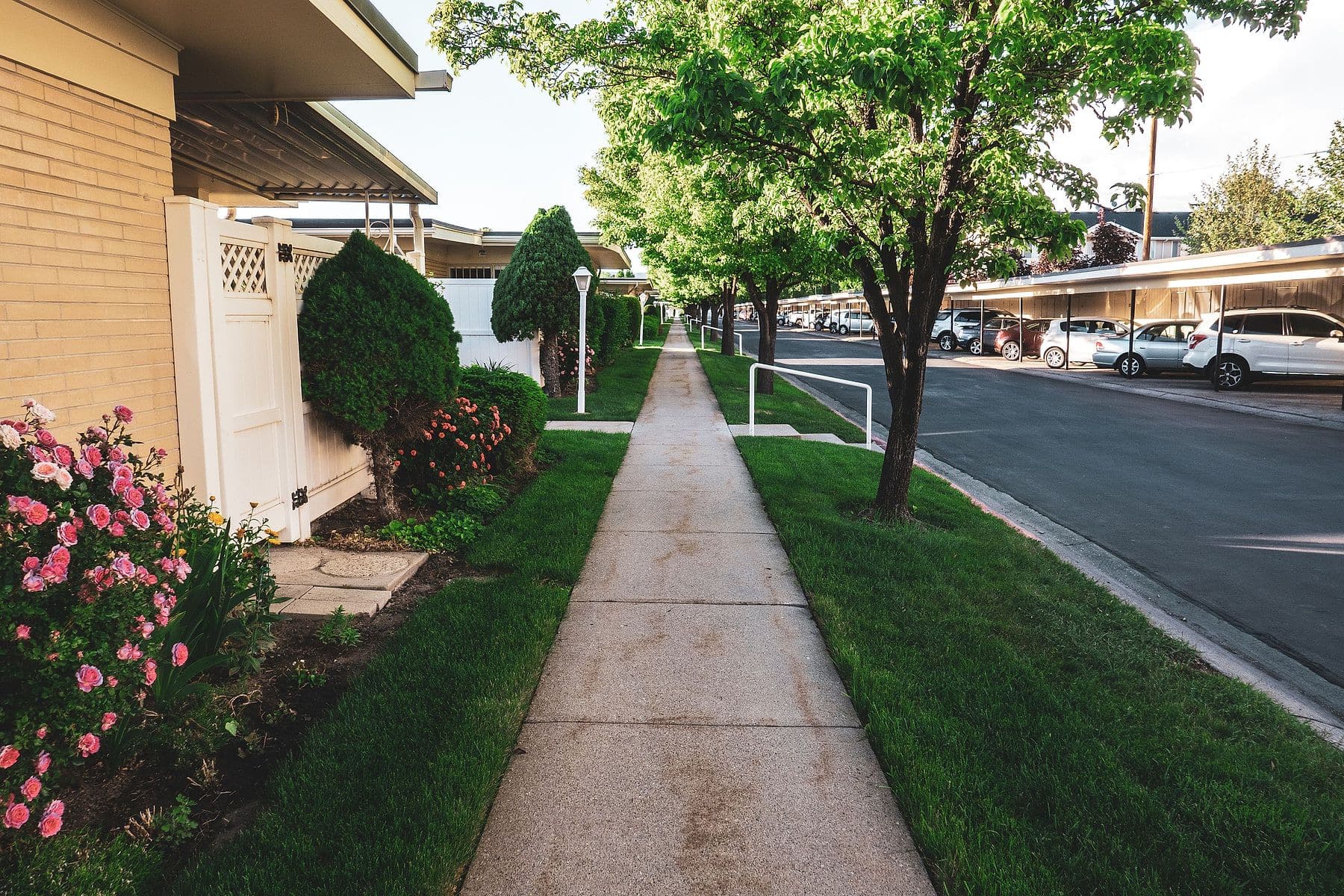 Sidewalks, Walkways & Curbs